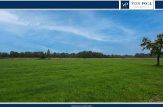 Immobilie kaufen in 33161 Hövelhof, Landwirtschaftliche Nutzflächen in attraktiver Lage zwischen Hövelhof & Kaunitz