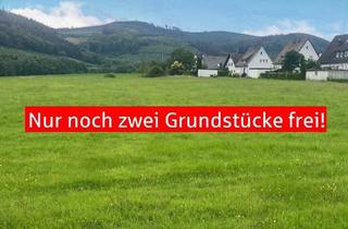 Immobilie kaufen in 59872 Meschede, Ihr Traum vom Neubau...