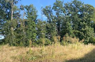 Immobilie kaufen in 59872 Meschede, Hier kann Ihr Traumhaus stehen!