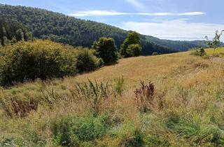 Immobilie kaufen in 57392 Schmallenberg, Die Natur im Blick!