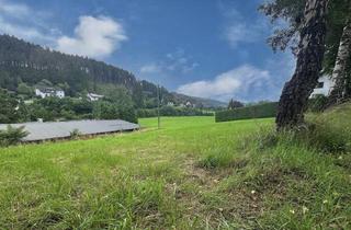 Immobilie kaufen in 59889 Eslohe, Platz satt für Ihr Traumhaus