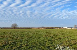 Immobilie kaufen in 14542 Werder (Havel), Landwirtschaftliche Nutzfläche in Plötzin