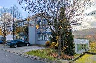 Gewerbeimmobilie kaufen in 63853 Mömlingen, Neuwertige repräsentative Immobilie mit Büro-Gebäude, Lager- /Werk-Hallen und Wohnungen in Mömlingen