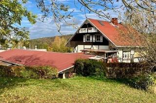 Gewerbeimmobilie kaufen in 08228 Rodewisch, Firmen-Domizil UND Familien-Idyll