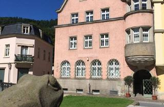 Büro zu mieten in Bielatalstraße, 01824 Königstein, Gewerberäume mit Einbaumöbeln in Königstein zu vermieten