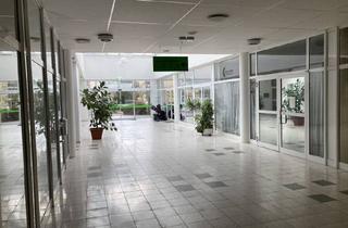 Geschäftslokal mieten in Platanenstraße 14, 17033 Neubrandenburg, Ihre neue Ladenfläche im Lindenpark Center