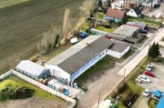 Gewerbeimmobilie kaufen in 06231 Bad Dürrenberg, 548m² Gewerbehalle, auf 1.929m² Grdst. für Handwerk oder Logistik, bei Bad Dürrenberg