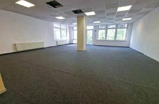 Gewerbeimmobilie kaufen in 08209 Auerbach, Historisches Schul- und Fabrikgebäude in Auerbach mit viel Potential