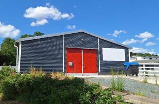 Gewerbeimmobilie mieten in 08525 Plauen, Lagerhalle mit direkter LKW-Rampe in Reissig