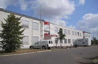 Büro zu mieten in Armstrongstraße 13, 04435 Schkeuditz, BUERO.fläche mit 471m² nahe des Schkeuditzer Kreuz/Flughafen mit 150 m² Lagerhalle