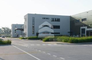 Büro zu mieten in Paul-Thiersche-Straße, 04435 Schkeuditz, Moderne BUERO.flaeche mit 303 m² direkt am Leipziger Flughafen