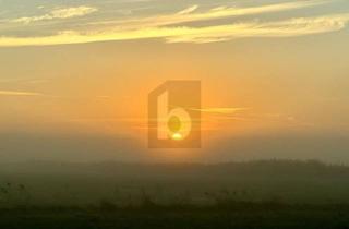 Anlageobjekt in 18375 Ostseebad Prerow, TOP INVESTITIONSOBJEKT IN RUHIGER IDYLLE