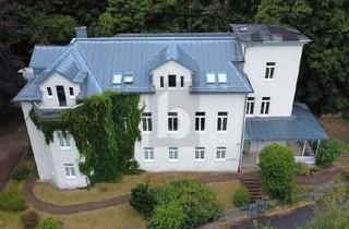 Anlageobjekt in 98527 Suhl, EXKLUSIVE VILLA - GEWERBE MIT 17 STELLPLÄTZEN