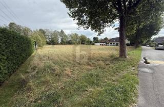 Anlageobjekt in 49205 Hasbergen, VIEL PLATZ FÜR IHRE IMMOBILIENPROJEKTE