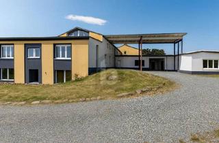 Gewerbeimmobilie kaufen in 09114 Chemnitz, LAGER, AUSSTELLUNG, WOHNEN GROßES MISCHNUTZUNGSOBJEKT