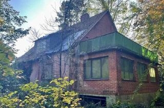 Einfamilienhaus kaufen in 29451 Dannenberg, VERWUNSCHENE FAMILIENOASE IM GRÜNEN