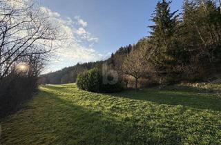 Anlageobjekt in 72172 Sulz, RUHE UND NATUR MIT EIGENER QUELLE (KEIN BAULAND)