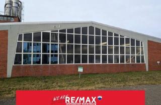 Büro zu mieten in 27386 Hemsbünde, Warmhalle mit Büro und Stellplätzen