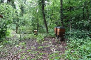 Anlageobjekt in 63165 Mühlheim, Naturbelassenes Grundstück am Grünen See in Mühlheim am Main