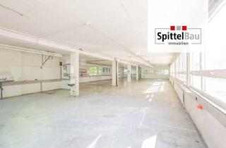 Büro zu mieten in 78713 Schramberg, Preiswerte Lagerfläche mit 350 m² flexibel auf 46 m² unterteilbar!