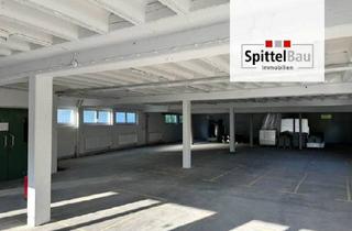 Gewerbeimmobilie mieten in 78713 Schramberg, Moderne Selfstorage mit LAGERBOX in Schramberg!