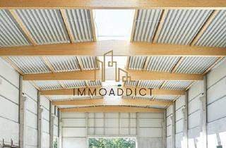 Büro zu mieten in Felix-Schulze-Straße 11, 15344 Strausberg, Kalt- oder Warmhalle - bis 5500 qm möglich