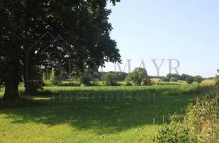 Büro zu mieten in 82343 Pöcking, VERMIETUNG: Provisionsfreie Gewerberäume in verkehrsgünstiger Lage!