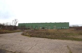 Büro zu mieten in 04435 Schkeuditz, ++Gewerbehof mit Lagerhalle und Bürohaus an der B186++