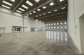 Büro zu mieten in 95126 Schwarzenbach, Großzügige Lagerfläche mit Hochlager, mobile Laderampe - insgesamt ca. 1.978 m² in Schwarzenbach/Saale - LKW-Zufahrt auf dem Areal - verkehrsgünstige Lage