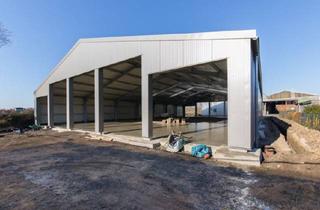 Gewerbeimmobilie mieten in 24398 Dörphof, Neubauhalle mit separaten Lagerabteilen