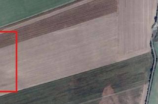 Anlageobjekt in 15749 Mittenwalde, Landwirtschaftsfläche mit Entwicklungsperspektive – südlich von Berlin