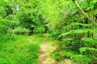 Anlageobjekt in 39539 Havelberg, Lost Places & Naturidyll, perfekte Lage für Ferienunterkünfte!