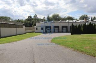 Gewerbeimmobilie mieten in 04746 Hartha, Vermietung von 2 Produktions- und Lagerhallen in Hartha (getrennte Vermietung möglich)