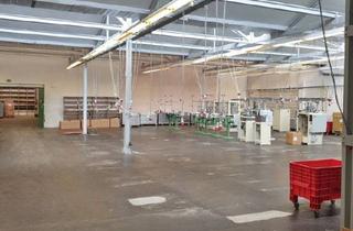 Büro zu mieten in 42389 Wuppertal, Gewerbehalle in Wuppertal-Langenfeld ab sofort zu vermieten.