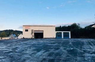 Anlageobjekt in 54550 Daun, Gewerbegrundstück mit Lagerhallen, Freifläche in zentraler, verkehrsgünstiger Lage.