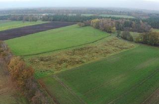 Anlageobjekt in 49492 Westerkappeln, Ackerland in Westerkappeln