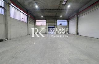 Büro zu mieten in 31157 Sarstedt, Moderner Logistikstandort mit vielseitiger Nutzung in Sarstedt