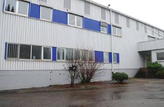 Büro zu mieten in 42651 Solingen, Büros mit u. ohne Halle u. Parkplätzen sowie Freifläche. Miete einschl. NK!