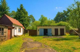 Einfamilienhaus kaufen in 39317 Parey, Wohnhaus mit Nebengebäuden, Partyhaus und großem Garten – ideal für Familien und Naturliebhaber