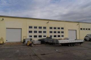 Büro zu mieten in 15907 Lübben, Gewerbehalle mit Büro unweit des Lübbener Südbahnhofs