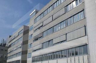 Büro zu mieten in 63303 Dreieich, KLE!N - Provisionsfrei - Büro- und Geschäftshaus mit Dachterrassen