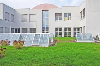 Büro zu mieten in 65843 Sulzbach, KLE!N - Provisionsfrei - Bürofläche in gepflegtem und funktionalem Gewerbepark