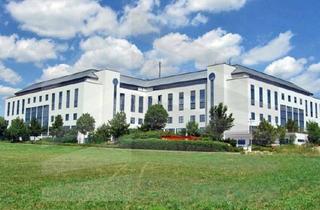 Büro zu mieten in 65824 Schwalbach, KLE!N - Provisionsfrei - Moderne Büro-Oase, hochwertig ausgestattet