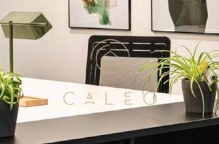 Büro zu mieten in 61476 Kronberg, CALEO ¦ Kronberg ¦ flexibel + sofort bezugsfertig ¦ all inclusive ¦ PROVISIONSFREI