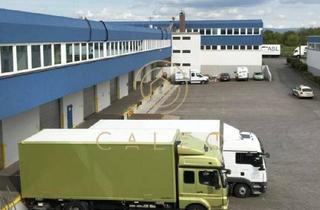 Gewerbeimmobilie mieten in 65451 Kelsterbach, CALEO ¦ Kelsterbach ¦ Flughafen ¦ 192 m² - 498 m² ¦ ab EUR 8,50/m² ¦ PROVISIONSFREI