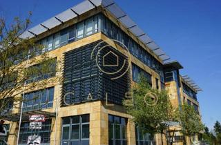 Büro zu mieten in 64546 Mörfelden-Walldorf, CALEO ¦ Mörfelden-Walldorf ¦ 197 m² - 6.245 m² ¦ ab EUR 12,50/m² ¦ PROVISIONSFREI