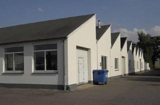 Büro zu mieten in 25421 Pinneberg, Lager-/Produktionshalle 5,80€/m2, 680m2 / 500m2 / 180m2