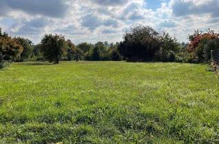 Doppelhaushälfte kaufen in 75245 Neulingen, Neulingen - Doppelhaushälfte auf Traumgrundstück mit Blick ins Grüne - Neubau am Ortsrand