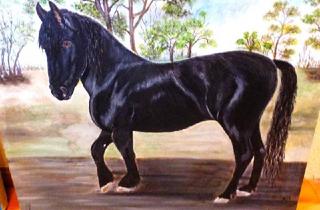 Haus kaufen in Roermonder Str. 46, 41372 Niederkrüchten, Niederkrüchten-Elmpt - #Freistehendes Zweigenerationenhaus mit viel Platz im Aussenbereich