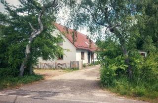 Haus kaufen in 54619 Üttfeld, Üttfeld - Hof in Alleinlage mit WeideWald und Hundepension